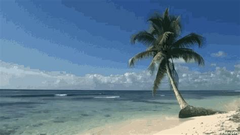 beach porn gif|Relevance Beach Gifs